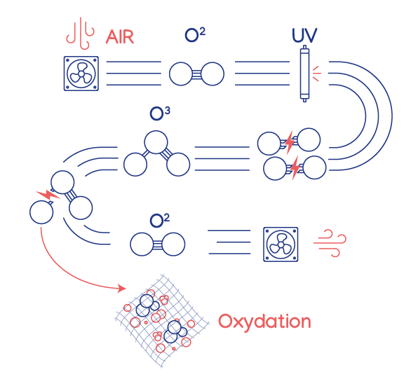 Schéma-création-ozone-et-principe-de-purification-désinfection_v2-01